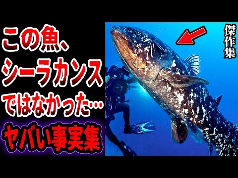 【総集編】シーラカンスは絶滅していた…眠れないほど面白い古代生物のヤバい事実と謎【ゆっくり解説】【生きた化石】