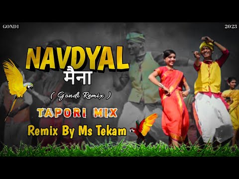    Navdyal Maina New Gondi Song Tapori Mix  Dj Ms Tekam Remix Song