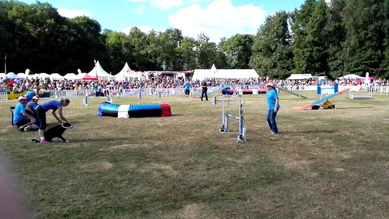 Feth It // EO2016 final