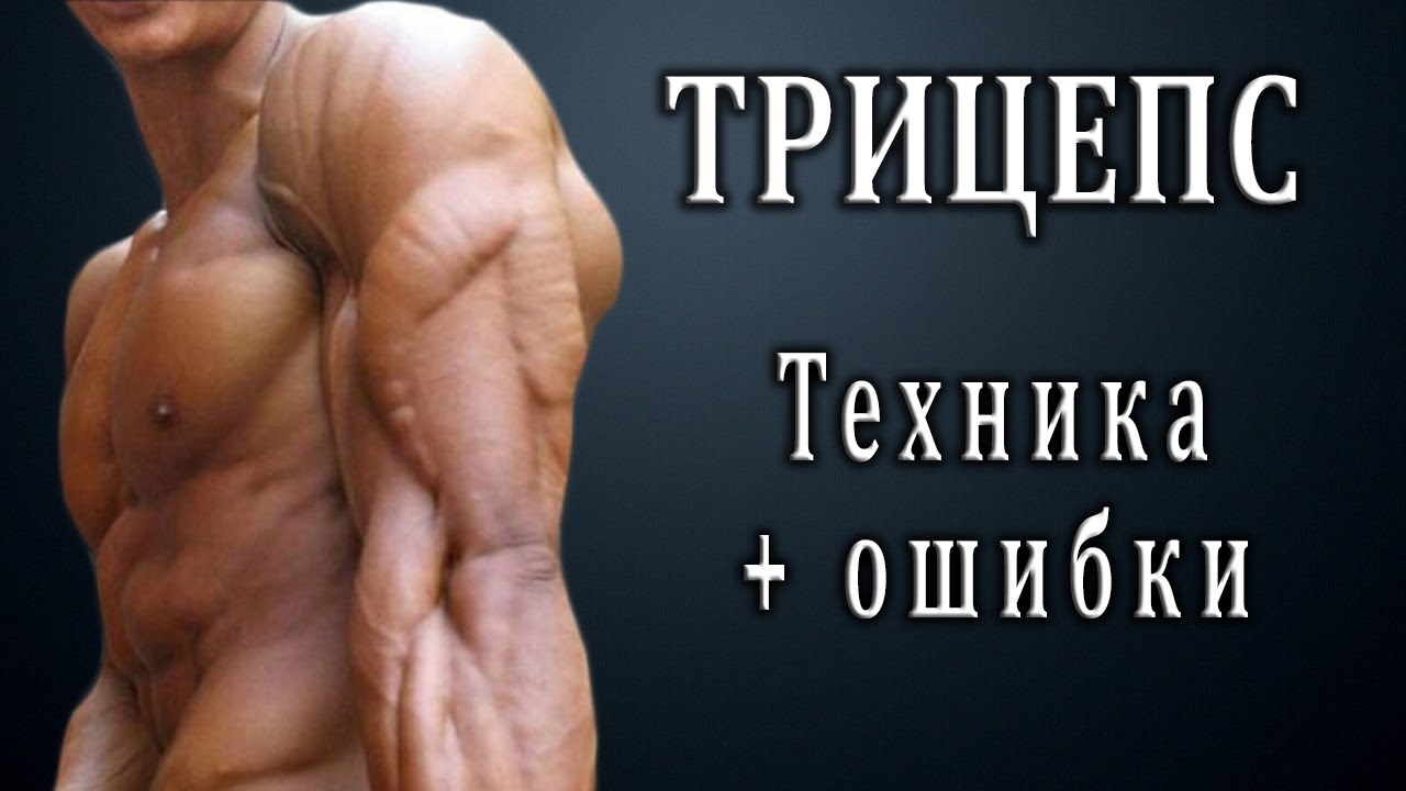 Недостаток белка, избыток углеводов и жиров