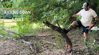 Karate Kicking Down Trees