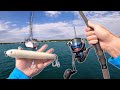 Throwing HUGE Topwater Lures For Saltwater MONSTERS! (Cape Cod Fishing)