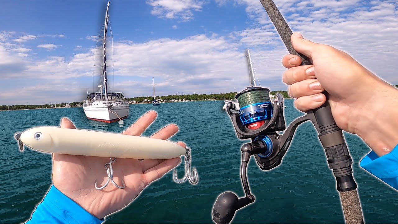 Throwing HUGE Topwater Lures For Saltwater MONSTERS! (Cape Cod Fishing ...