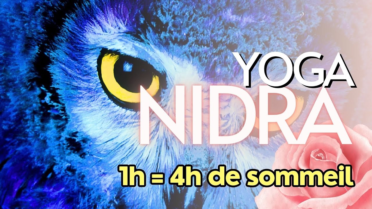 YOGA NIDRA pour éveiller DISCERNEMENT & LUCIDITÉ: Rencontre avec la chouette