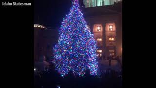 Capitol Tree Lighting 2017