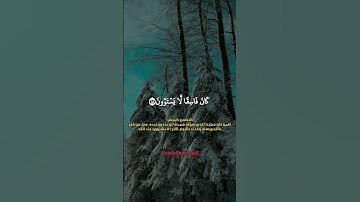 تتجافى جنوبهم عن المضاجع❤️ #سورة_السجدة  #محمد_سعيد #صوت_جميل #تلاوة_خاشعة #قرآن_كريم #الجزائر #دعم