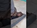 #YouTube #shorts #funny #video #shortvideo #short #love #entertainment #sorts #funny