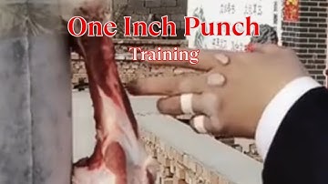 ONE INCH PUNCH TRAINING | KUNG FU POWER AND PRECISION