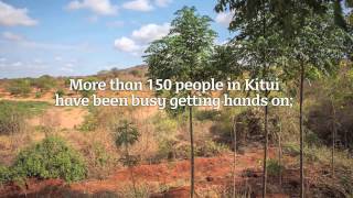 CAFOD: Getting Hands On with tree planting