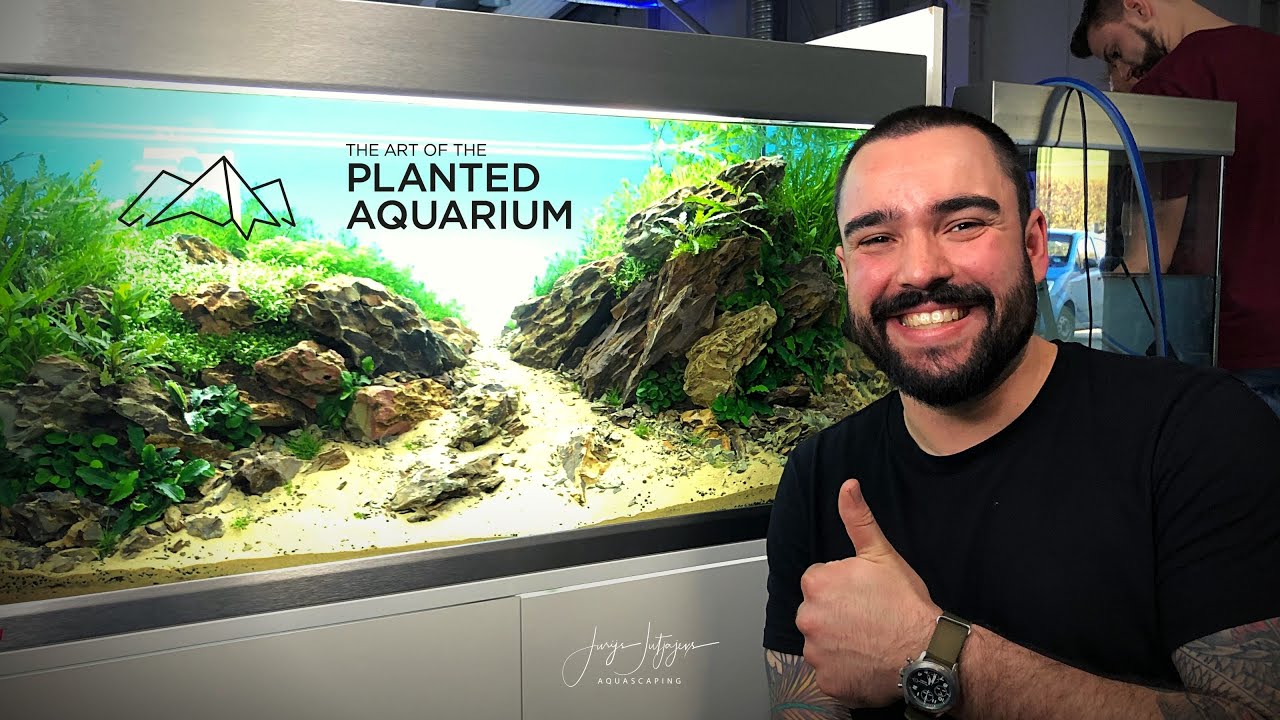 The Art Of The Planted Aquarium - TAOTPA 2019 - Second Best in XL Category