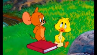 Tom and Jerry - Poor duck 😂 (توم وجيري - البطة المسكينة (قط وفار