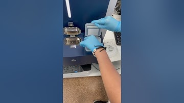 Maldi Biotyper Bruker