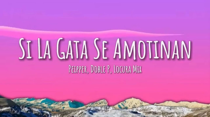 Si La Gata Se Amotinan - Peipper, Doble P, Locura Mix