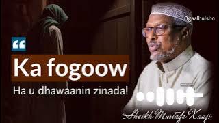 KA FOGOOW ZINADA!!  muxaadaro 100% noloshaada saameyn doonta 💔😥💯  || Sheekh Mustafe @OGAALBULSHO​