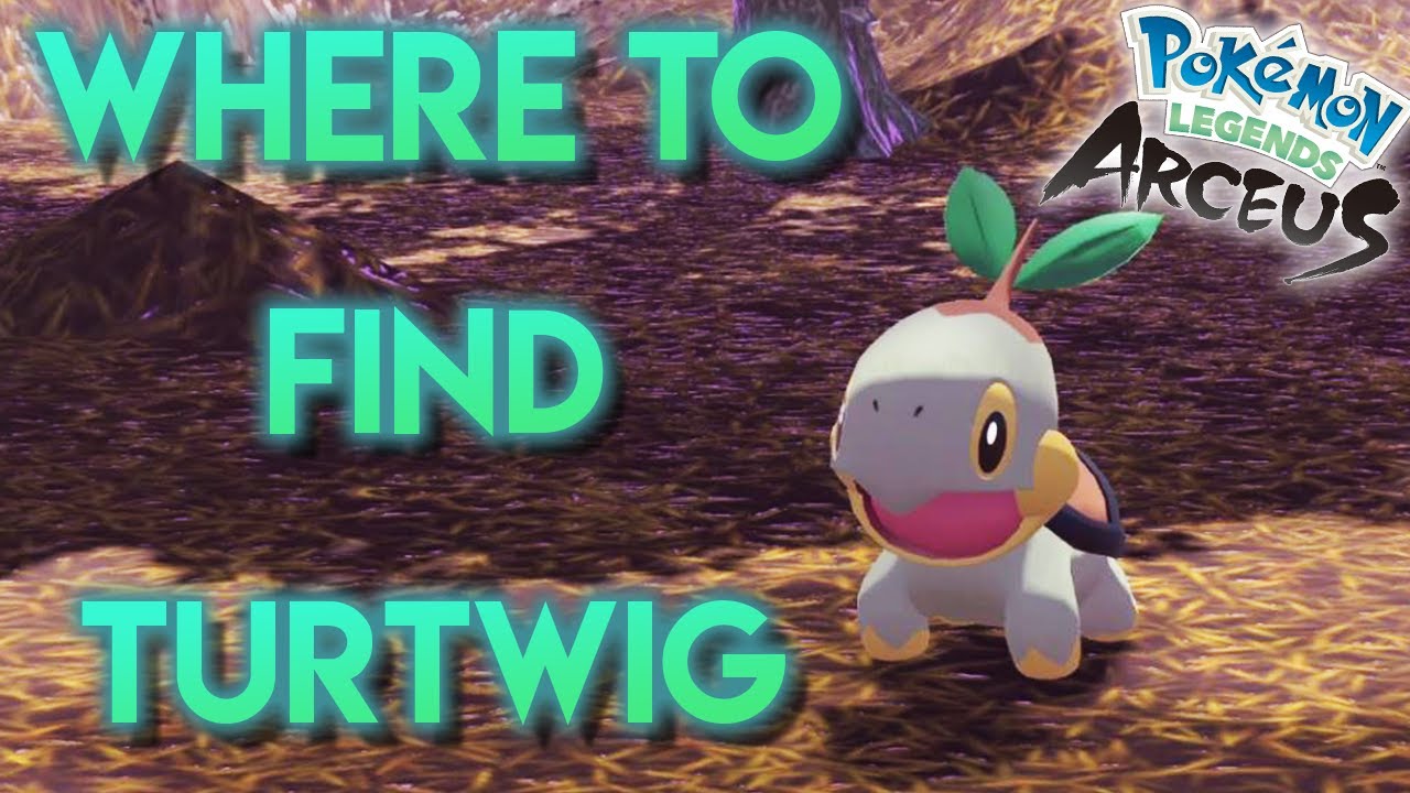 Where to Get TURTWIG ! | Legends Arceus - YouTube