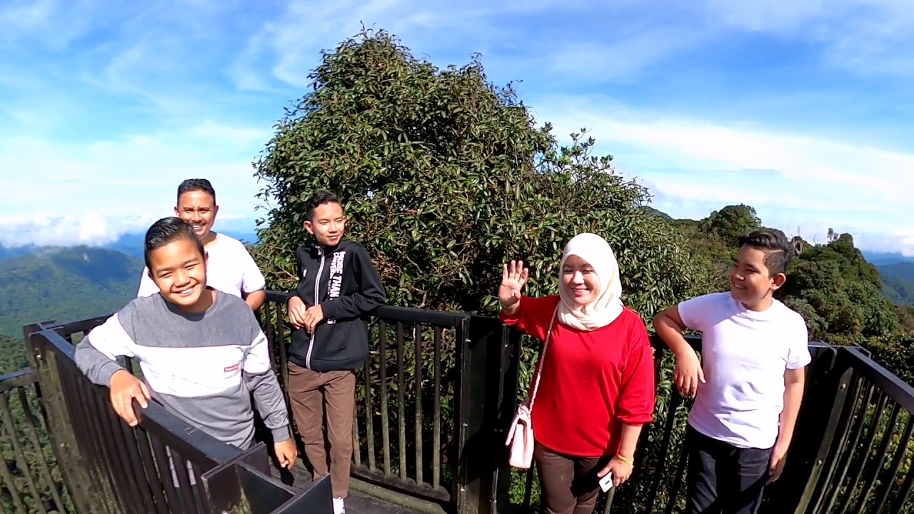 Hutan mossy forest Cameron Highlands terbaik di Malaysia - YouTube