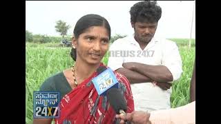 BELLARY BADIDATA - SPECIAL - SEG_2 - suvarna news