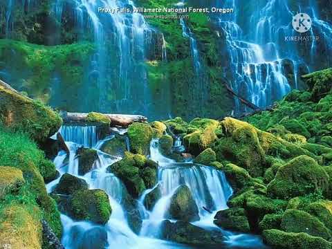 بهترین آهنگ مجلسی پشتو