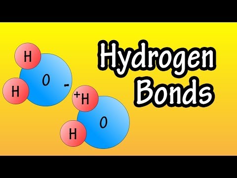 Video: Wat is waterstofbinding in biologie?