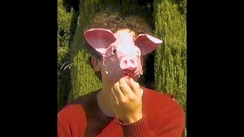 Owen Painter - Pig (Full music video)