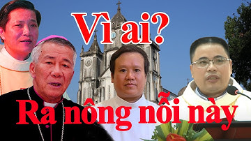 🔴Bài phản biện hùng hồn của Linh mục Anton Đặng Hữu Nam về Đc Nguyễn Hữu Long