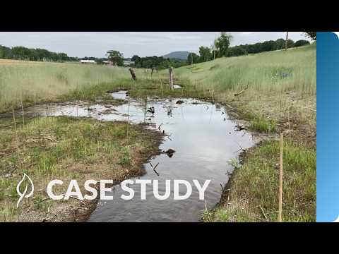 How a Floodplain Survived Tropical Storm Isaias Mid-Construction | Quaker Mitigation Bank | PROJECT