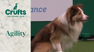 Agility  Singles Final Small, Medium, Intermediate and Large (Agility) Part 2 | ​Crufts 2024