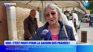 Cest Parti Pour La Saison Des Fraises Dans Le Var