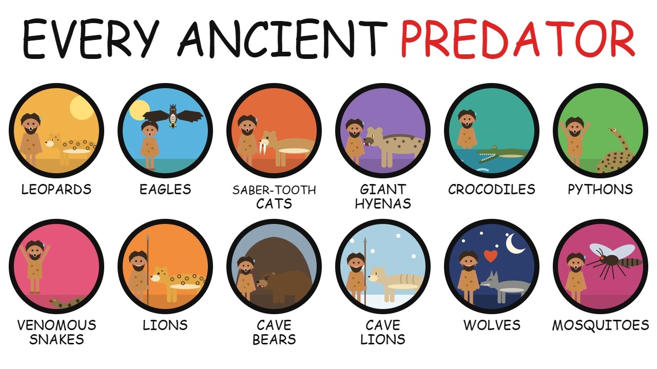 Predator Human Every Deadly Predator Ancient Humans Faced Explained - YouTube