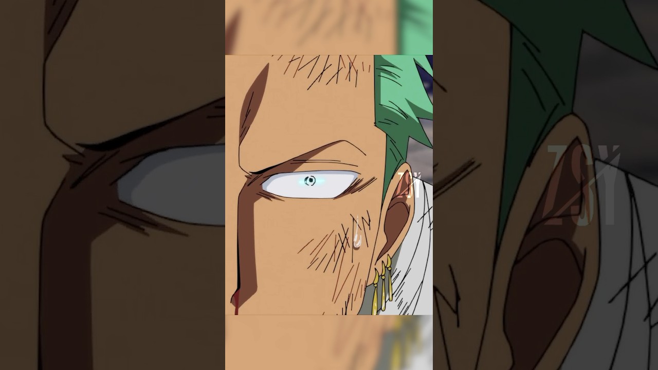 Zoro gets bad the news 📰