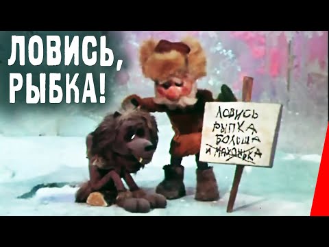 Ловись, рыбка! (1983) фильм