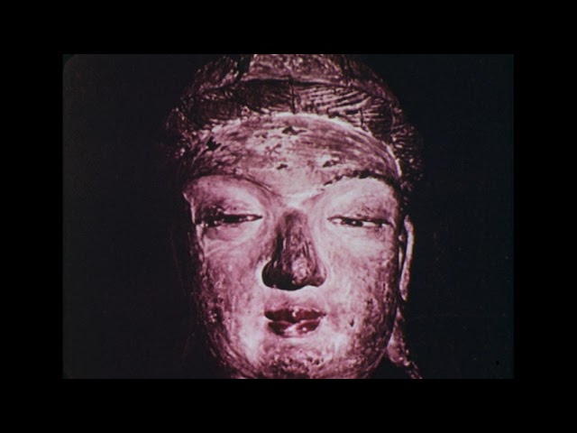代々木忠 Tadashi Yoyogi - サイコ・トリップ・エクスタシー = Psyco