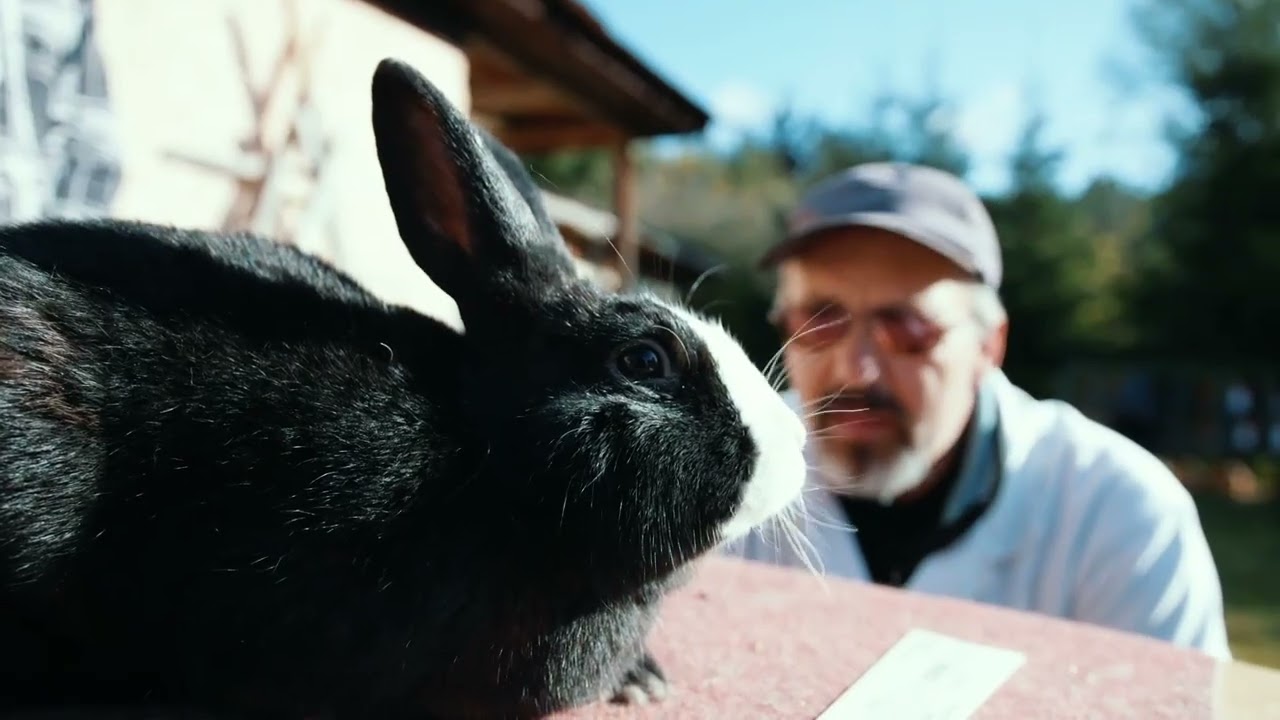TV Liptov - Liptovský lysko