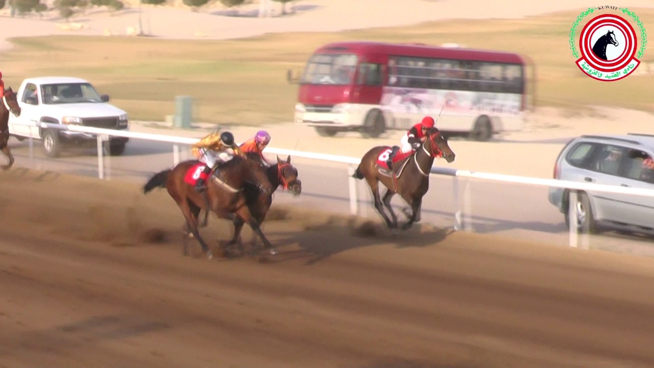 الاجتماع 15(الموروث الشعبي الاول)الشوط 5 الجواد المرتجز:لسطبل الاصايل