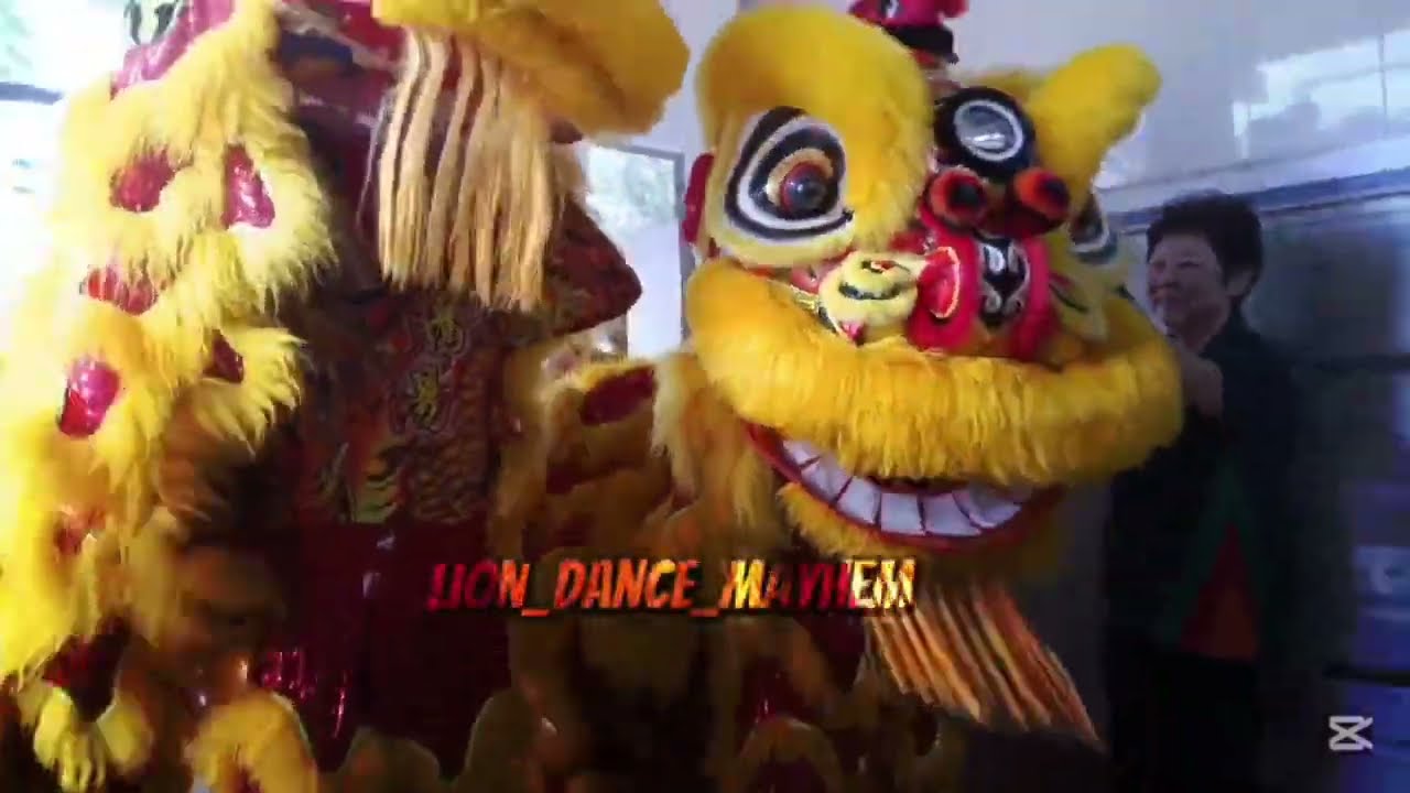 Singapore Teng Yang Association 新加坡腾陽龍獅體育會 - Lion Dance Drumming 🥁🦁