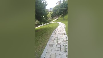 DGIST South Korea , an amazing and random view