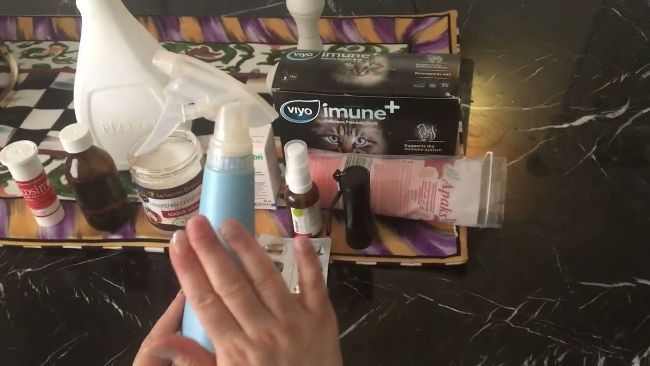 KEDİ MANTARINA  KESİN ÇÖZÜM (HAMİLE KEDİDE MANTAR SÜRECİ)