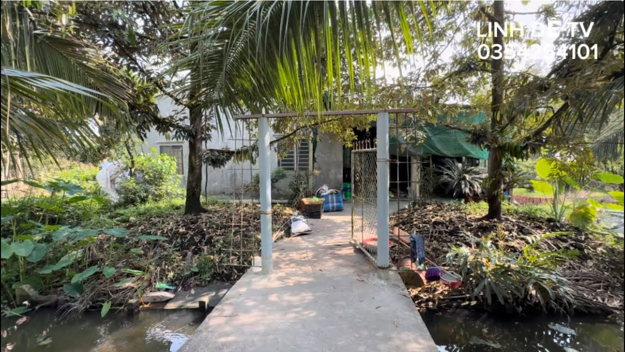 T1642💕Bán nhà vườn sầu riêng đường ôtô cặp kênh gần chợ cẩm Sơn đồng tháp 