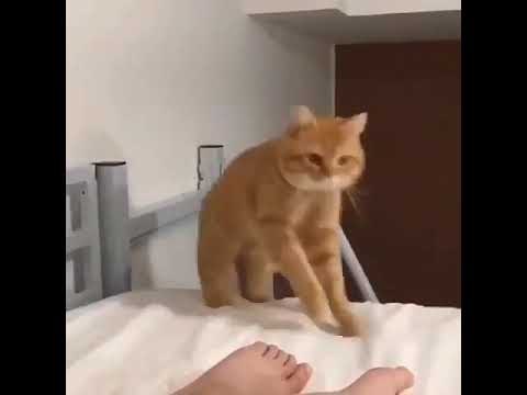 مساء الخير على الحلوين