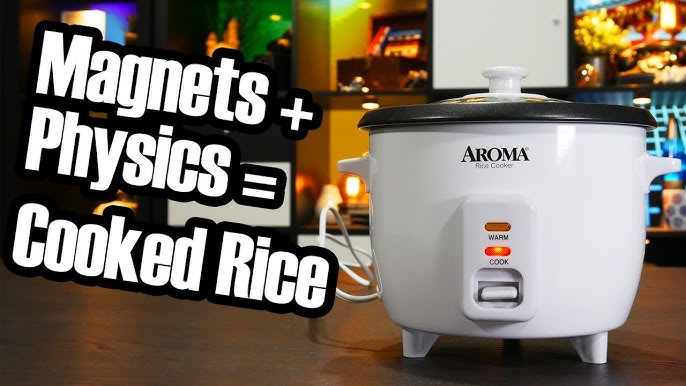 Rice Cookers How Do Rice Cookers Know When to Stop? Unveiling Secrets
