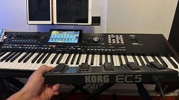 Pedal EC5 KORG Convert for KORG PA5 .