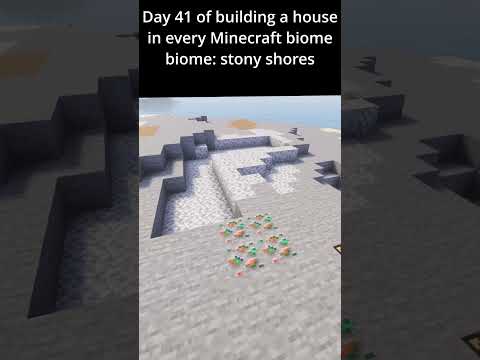 Day 41 of building a house in every Minecraft biome