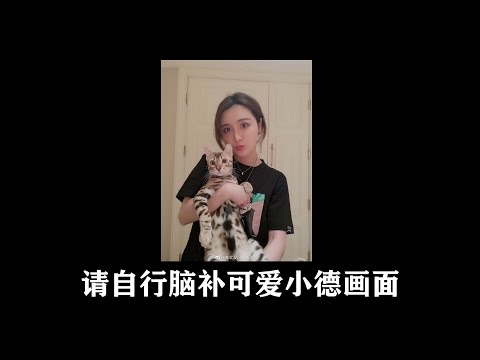 陈一发儿，被迫上工的小德