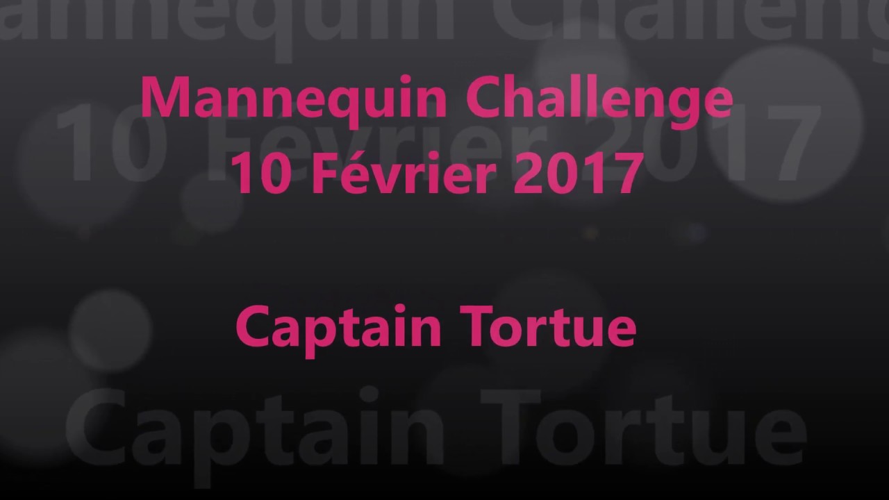 Mannequin Challenge Défilé Captain Tortue - 10/02/2017 - Caumont sur Durance - Valérie Massey