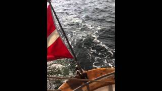 IMG 0289