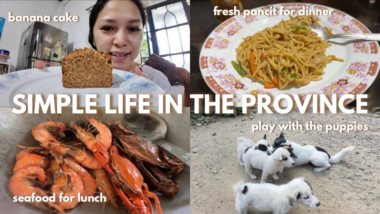 JAN 31-FEB 01| BABA ULIT TAYO SA LA UNION | SIMPLENG BUHAY DITO SA PROBINSYA♥️|| EMELYN HIGGINS