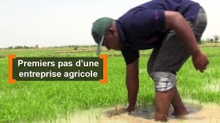 Mali : Premiers pas d'une entreprise agricole