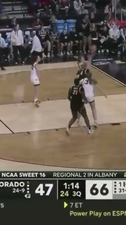 You Won'T Believe This: Nyc Basketball Star Pleads For Trump Pardon - f12uues