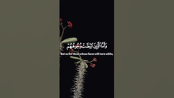 يَوْمَ تَبْيَضُّ وُجُوهٌ وَتَسْوَدّ وُجُوهٌ 💜آيات من سورة ال عمران بصوت الشيخ ياسر الدوسري🌷 #قرآن