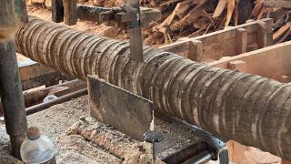 Coconut Tree Transformed into 2x20 Wood with Sawmill Technology